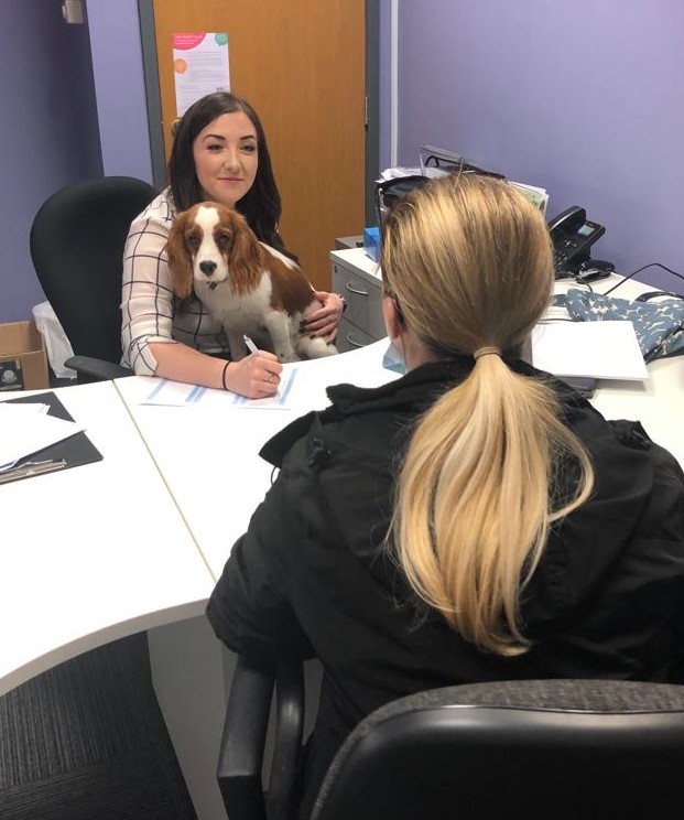 Mondays can be RUFF, especially if you are appearing for an interview, but our office pup Giddian makes the process as easy as pawsible! 

The only question he asks is " How many treats are too many treats?"
#lifeatva #giddiantheofficedog #caregiverinterviews #careersincare #care