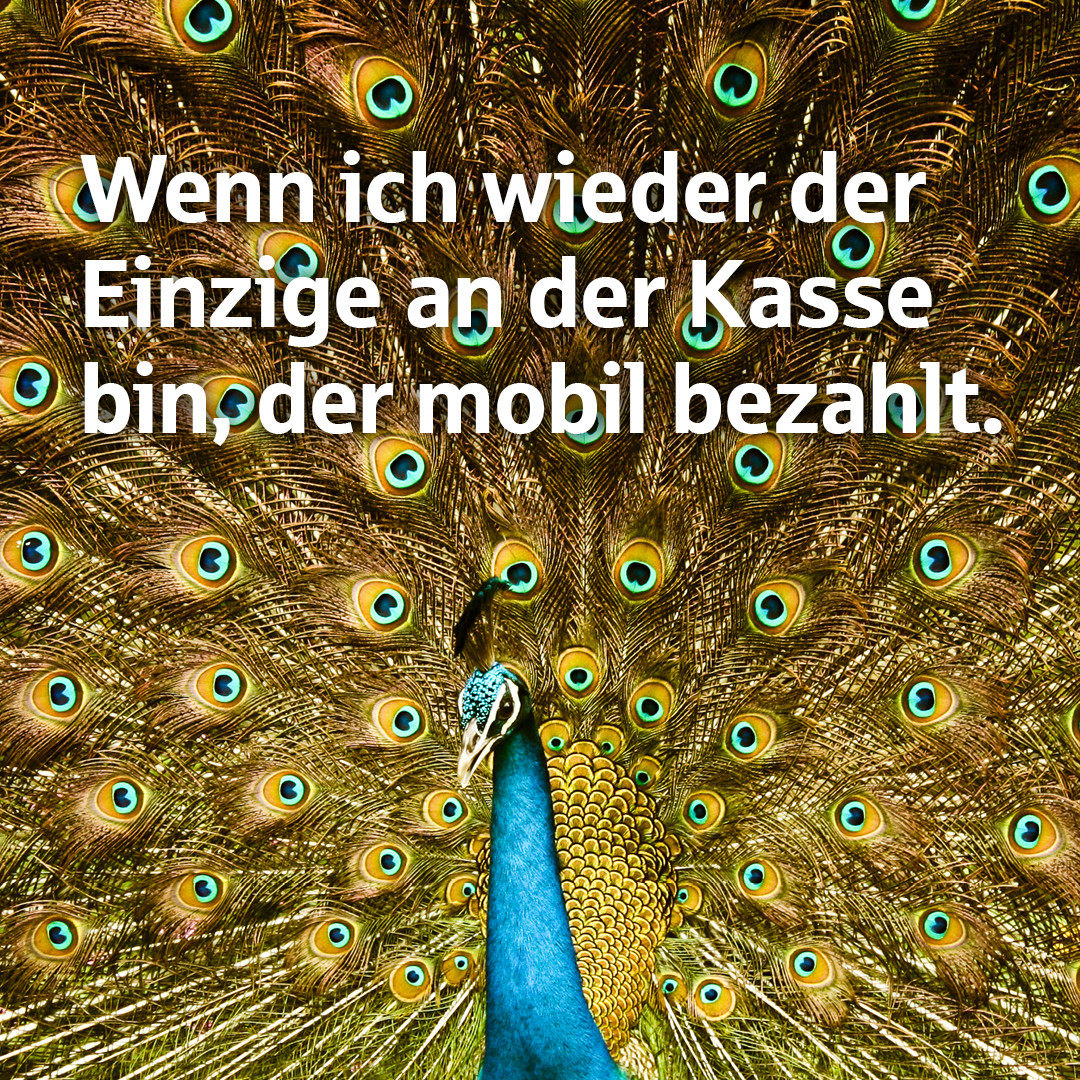 Sparkasse_KA's tweet photo. Mal wieder alle Augen auf eure Bezahlung mit dem Smartphone gerichtet? Einfach Rad schlagen und alles mit Würde tragen. 🛍️ 😁
Wer’s noch nicht ausprobiert hat: https://t.co/2fn028ezvM
#mobilesbezahlen #applepay #mobilbezahlen #smartphone
#trendsetter #mitstil https://t.co/jvu82dx1qS