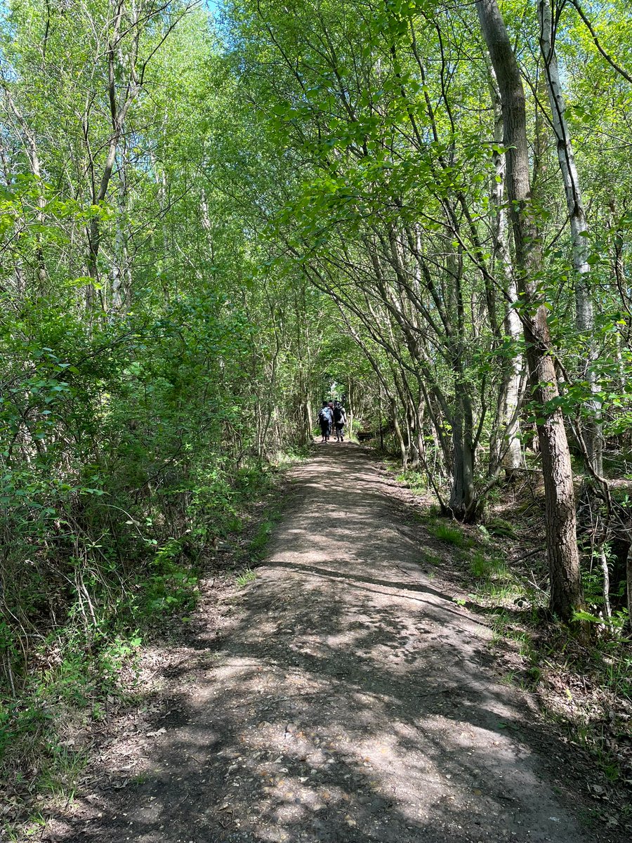 Wokingham Walk tweet media