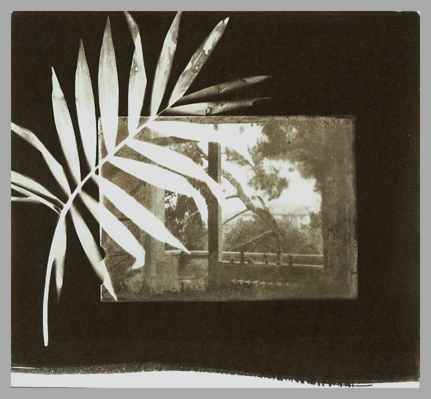 ilknuryavasci's tweet photo. |VDB 04|
5/11 left!
1.5 #xtz
#vandykebrowncollection #vandykebrown #sunprint #alternativephotography
https://t.co/0PNHD1TPml https://t.co/hkJ9WGOVY1