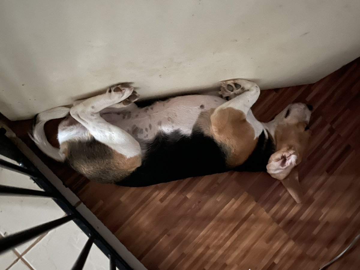 PlanetKai's tweet photo. @theedgeofjoel @TheKeannEffect Hello Bumper baby. I miss you naaaa!! So awesome na ikaw! Visit us and say hello to your sissy Hope. 😂😂😂 She’s a lil weirdo, but we love her too. https://t.co/uy5UV7d4uk