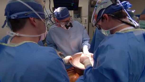 MayoTransplant's tweet photo. #Surgeons trained in all areas of #transplantation have extensive experience treating people with complex conditions who may need liver-kidney, liver-heart, liver-lung and liver-lung-heart transplant surgery. #Multiorgantransplant #MayoClinic 
https://t.co/3OXttd3IAV https://t.co/4pj8kskco5
