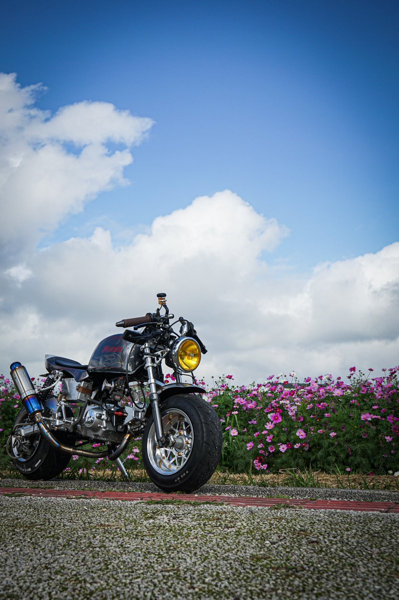 monchan0520's tweet photo. モンキーをゴリラにして乗ってます‼︎
フロント5.0j リア7.5jのムチムチ仕様
ヨシムラキャブやヒートマジックマフラーなど色々変えてます

中でもピンストラ��プやタンクエプロンがお気に入りポイントとなってます‼︎
#モトチャンプ愛車館
#愛車のカスタム自慢 https://t.co/okFoblZ9ec