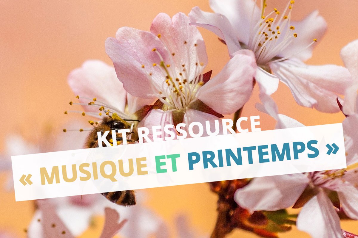 CPEM57's tweet photo. Nouvelles ressources dans notre kit printemps - https://t.co/TZbkdWpMRh https://t.co/fdtJ2nD68I