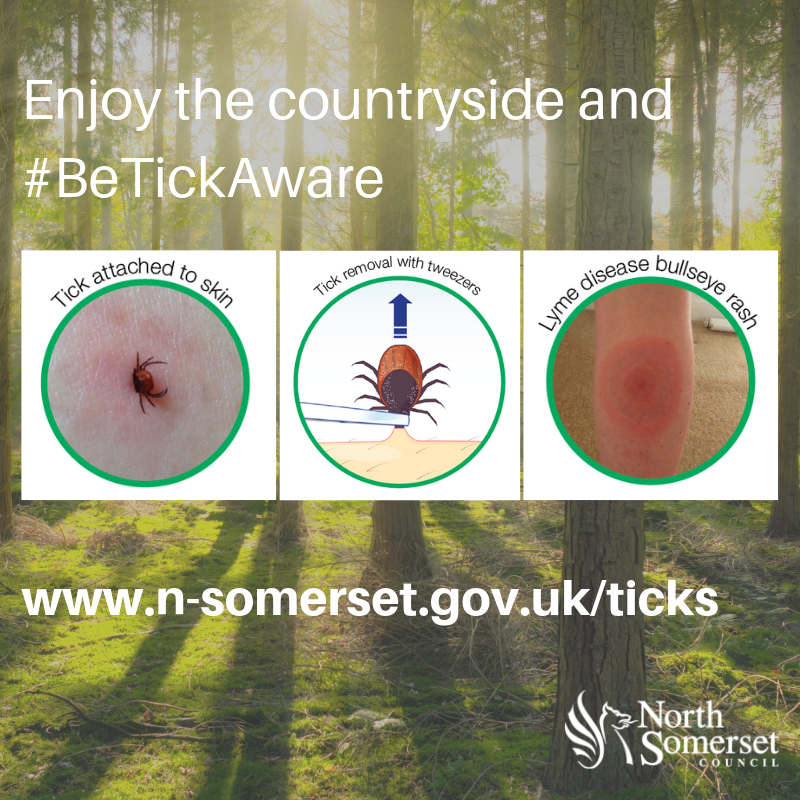 NorthSomersetC's tweet photo. Tick activity increases in spring and peaks between April and June, and this is when tick bite risk is highest. Find out more at https://t.co/RZHeJcdV2y 

#TickAwareness #BeTickAware https://t.co/7NJ6EG0vBD