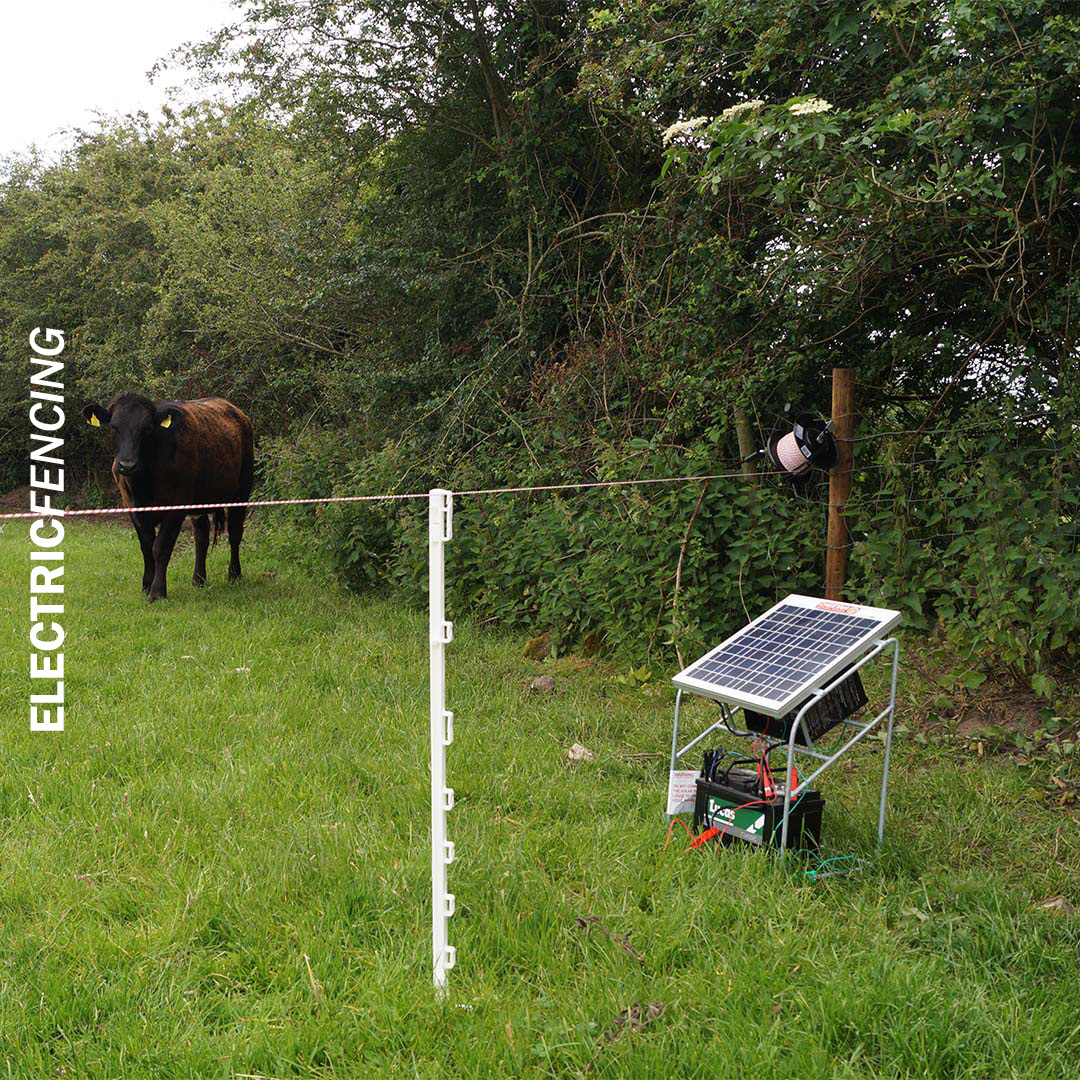 CheetahFencing's tweet photo. Here is a 20W solar panel hooked up to a B1-11 energiser 🔋 We are installing a temporary fence line with the help of a 3:1 loaded geared reel. This setup is both time and money saving 💯 #cheetah #electricfencing #agriculture #shoplocal #farmlife  #championgreen #guaranteedirish https://t.co/Gf5oC5S7zQ