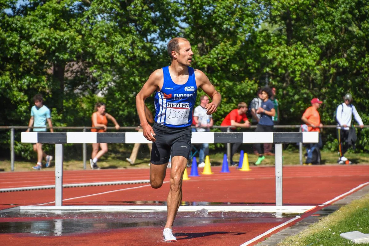 PJ HANNES tweet media