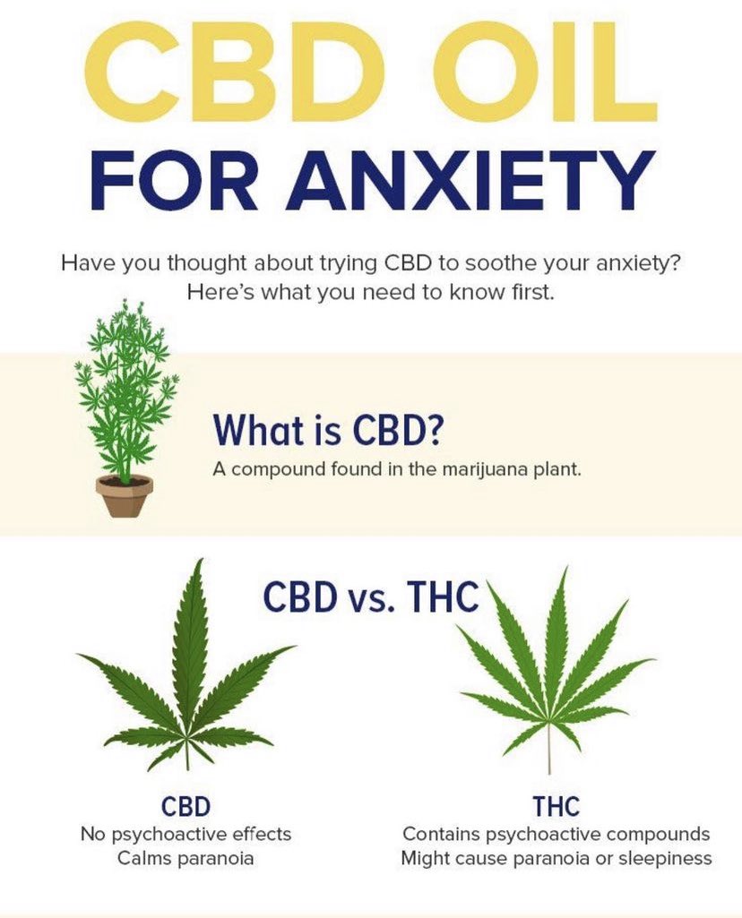 CBD_Pure_'s tweet photo. https://t.co/oyqrwhu9xF Follow @cbd_pure_ order your hemp oil today. 90 days money back guarantee.

#cbdcream #cbd #cbdoil #cbdproducts #cbdlife #cbdhealth #cbdwellness #cbdmovement #cbdskincare #hemp #cbdcommunity #cbdheals #cbdbenefits #cbdhelps #cbdgummies #cbdforpain https://t.co/7diG4kdQps