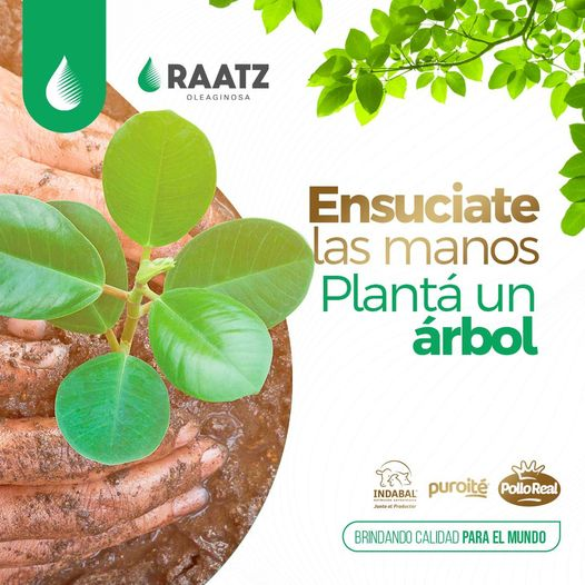 MateRogaBV's tweet photo. No subestimes el poder de una pequeña acción para generar un gran cambio 🌱✨
Si cada familia se dedicara a plantar un árbol en esta fecha ¿Te imaginas cuántos millones de árboles estaríamos dándole al planeta al año?
#Raatz #CalidadParaElMundo #PlantáUnÁrbol https://t.co/cobGMZzAQq