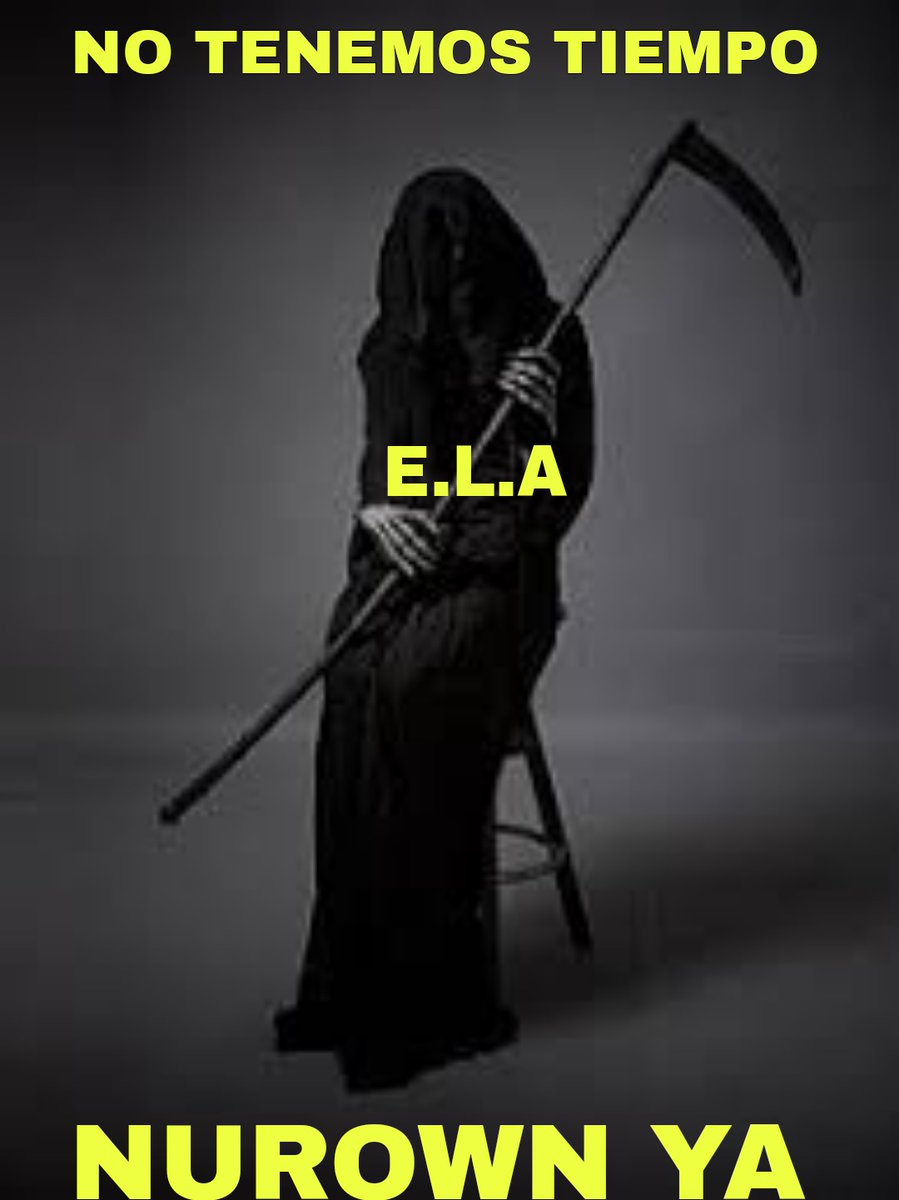 Rafael Domingo (@rafaeldomingog) on Twitter photo 