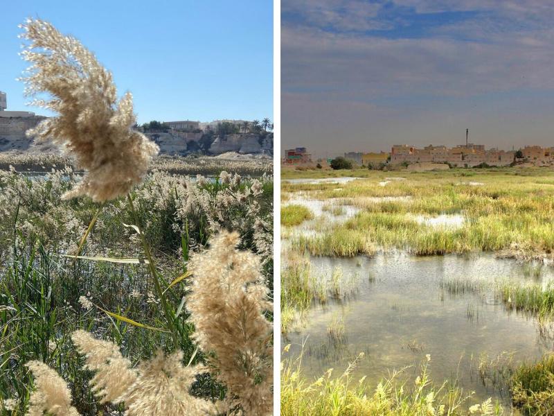 map_bh's tweet photo. Not all these changes are in the past. Buhair Valley, a beautiful natural area, is currently in the process of being bulldozed to make way for development. https://t.co/68cxflzbff