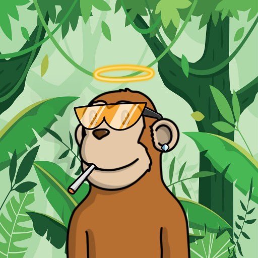 Sol Shorts tweet media