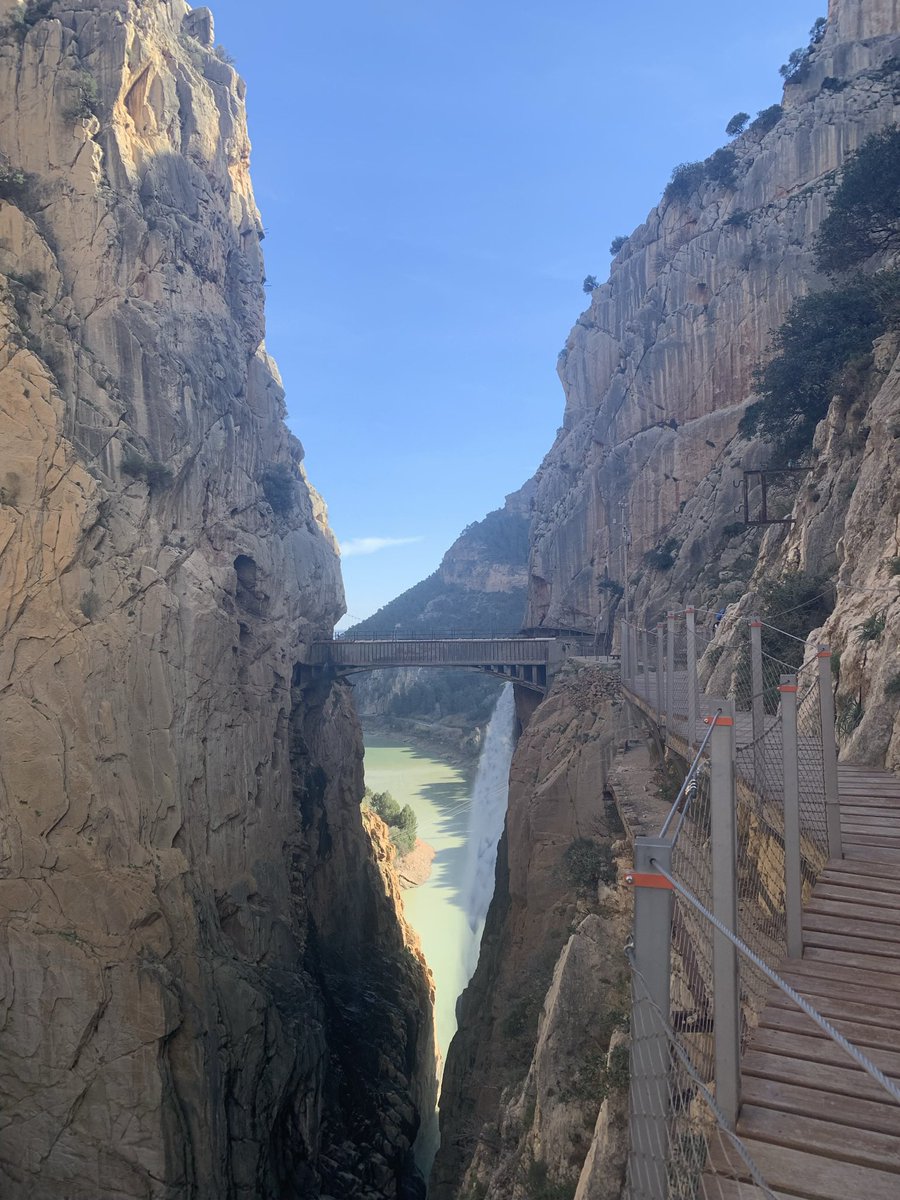 Faustine 🌸 tweet media