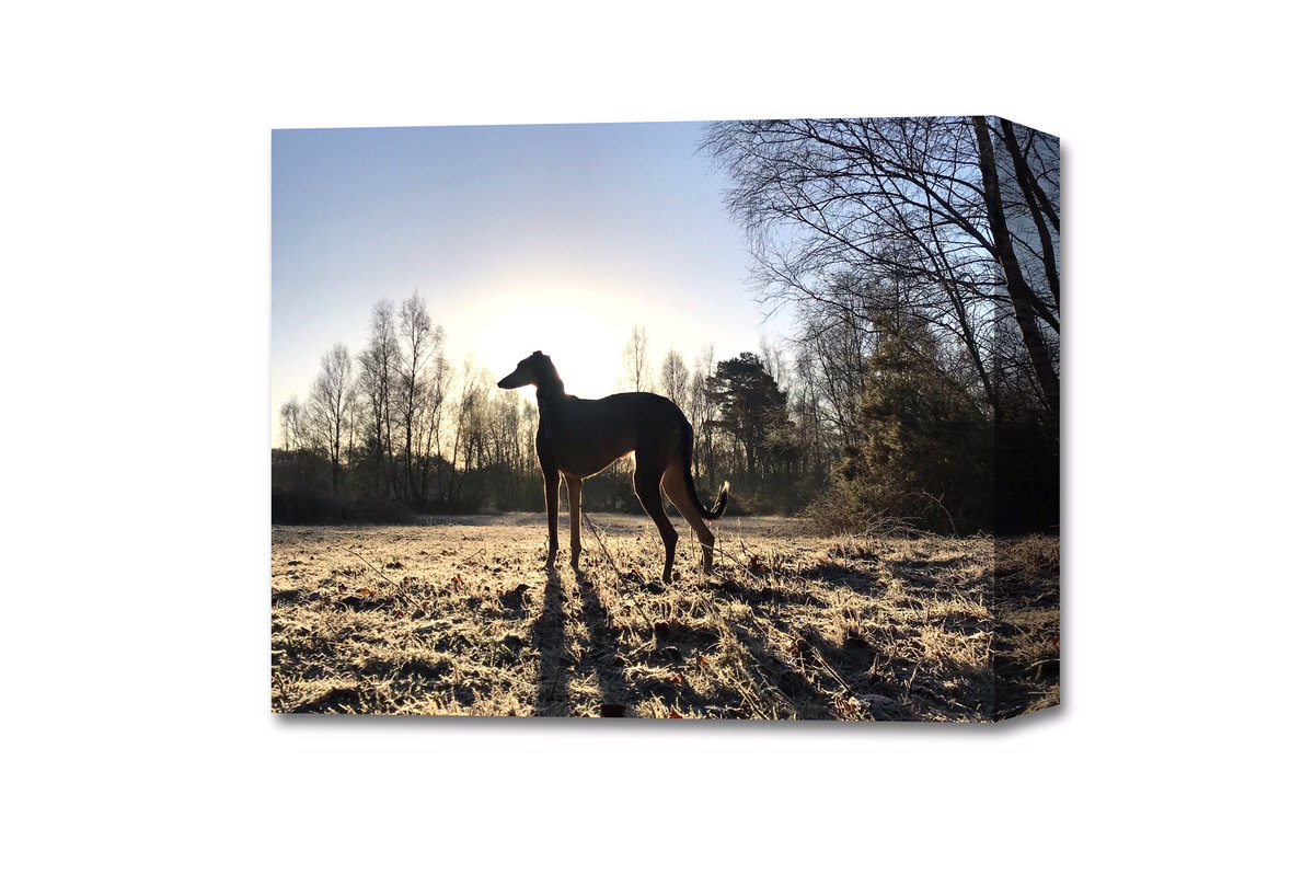 Buy any size Canvas Print and receive a second 1/2 price!
Either order online or pop into our shop in Liphook.