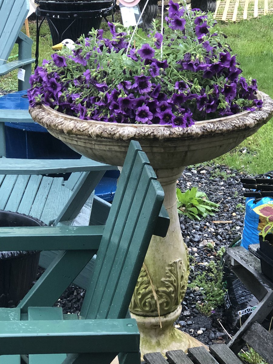 The Shed is sprouting and glowing!