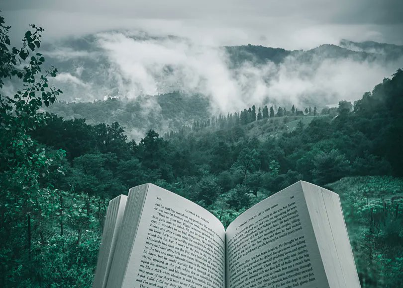 BookBuzzr's tweet photo. What an absolutely dreamy reading spot!...🧐😍☺️🤗😘 #author #writer #reader #amwriting #amreading #book #bookworm #bookbuzzr https://t.co/jaJEhNL3Rm