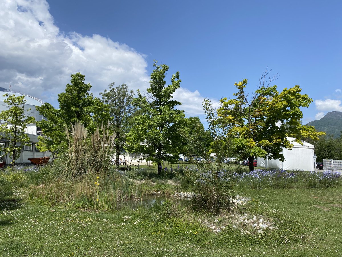 Giovanna Cicognani tweet media