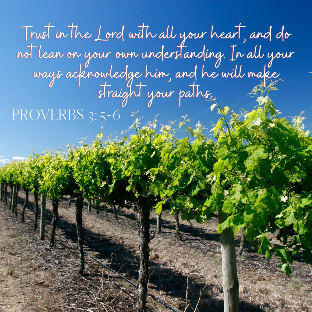 ChestertonElim's tweet photo. For God to bring the good to us today we have to surrender control to him, to accept that he can, to accept that his answer is the best answer, to open ourselves to his power and He will bring the #Kalos and it will be better than anything we've ever had before

#Chesterton #Elim https://t.co/5AZVLbDqku