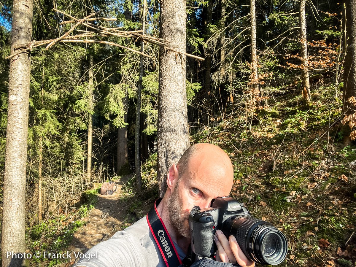 I'm happy to start a new long-term photographic project on #Forests with #Botanic. When I was a kid my dream was to become a forest ranger and I did my first internship at 13 near my home in Alsace. I always loved trees and particularly the forest. Thanks for trusting me.