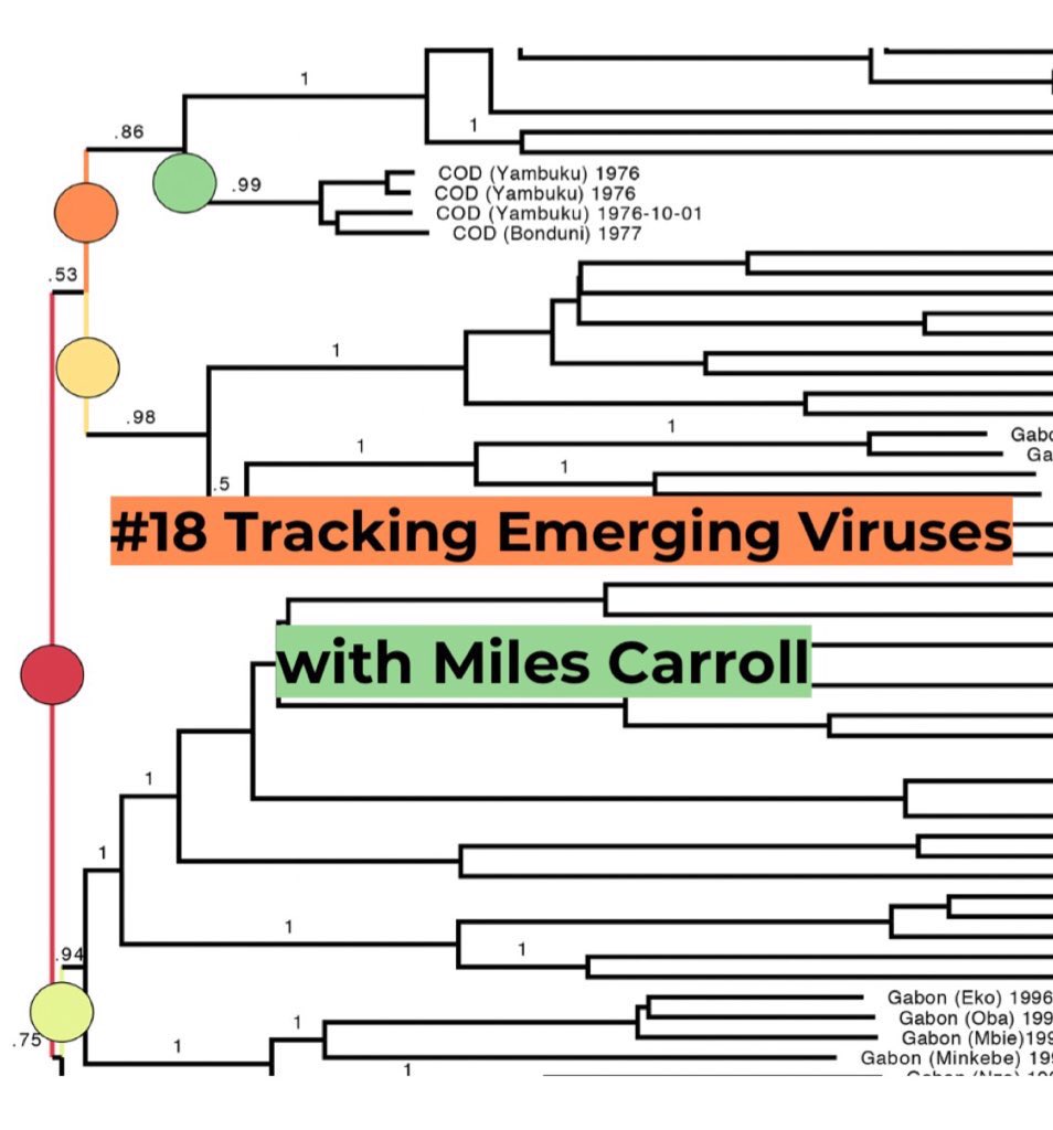 HOLOBIONT_'s tweet photo. Episode with Miles Carroll from @Carroll_Lab_Ox discussing emerging #viruses and how modern genomics tools like @nanopore sequencing can help us to track them 🦠🌍

https://t.co/C9p64cCBBz https://t.co/oVqqnKb3L0