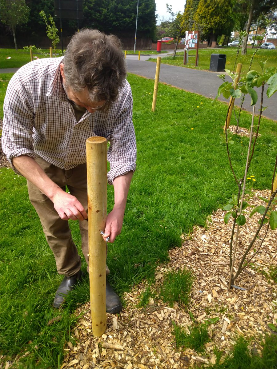 Let's Grow Together tweet media