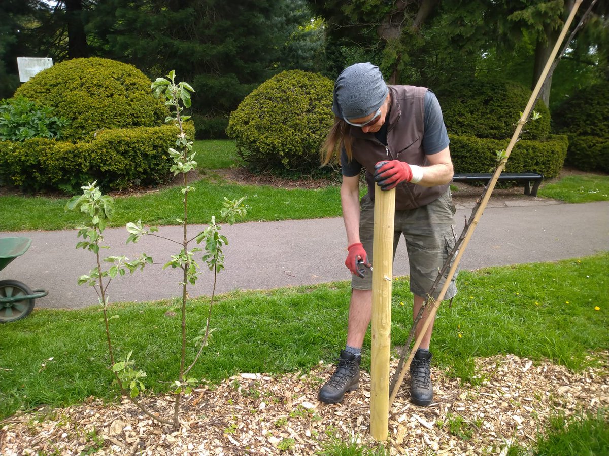 Let's Grow Together tweet media