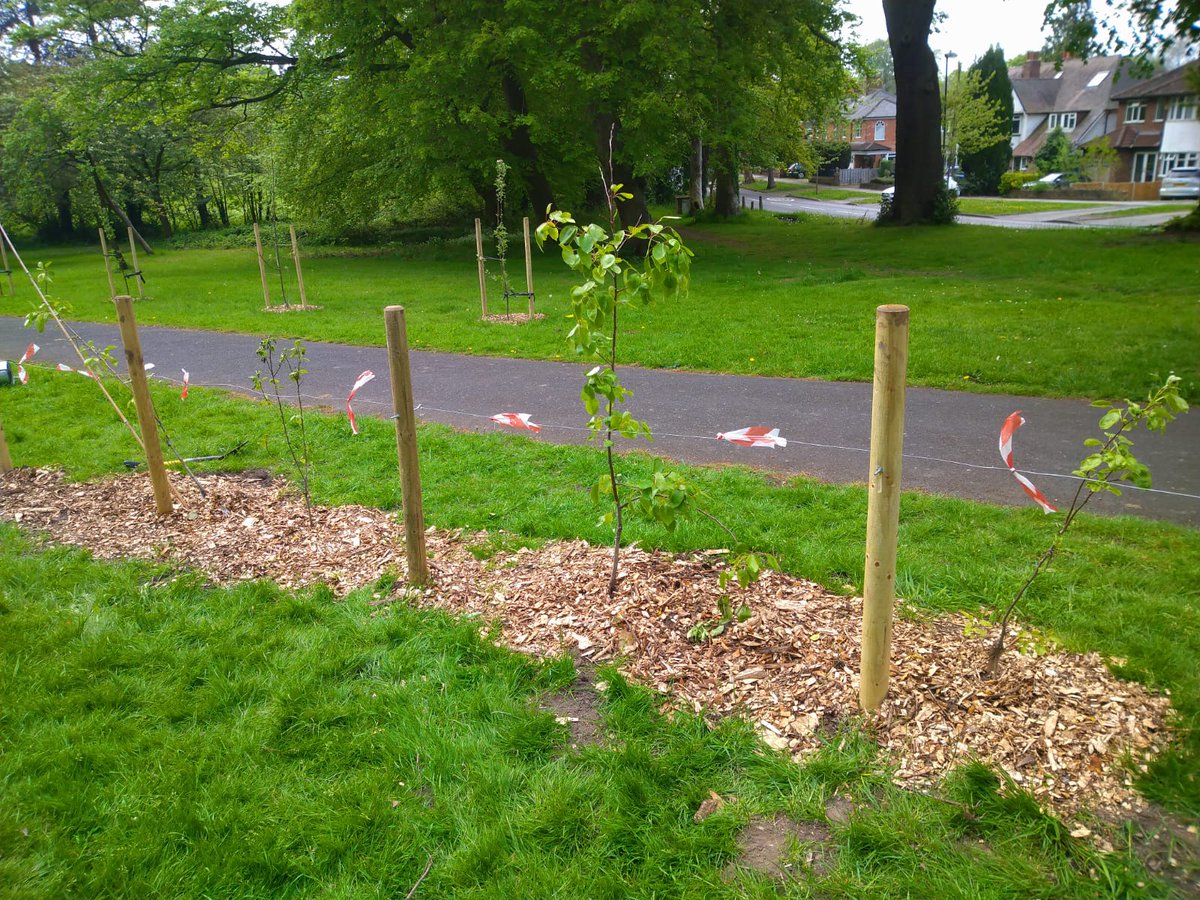 Let's Grow Together tweet media