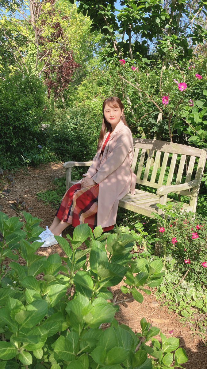 mao120202's tweet photo. 先日のGWは、友人たちと久しぶりに会えました😍
バラの満開はもう少し先だった（ちょうど今くらい）みたい😂
#横浜 #バラ園 #横浜イングリッシュガーデン https://t.co/QmWwi28pdD