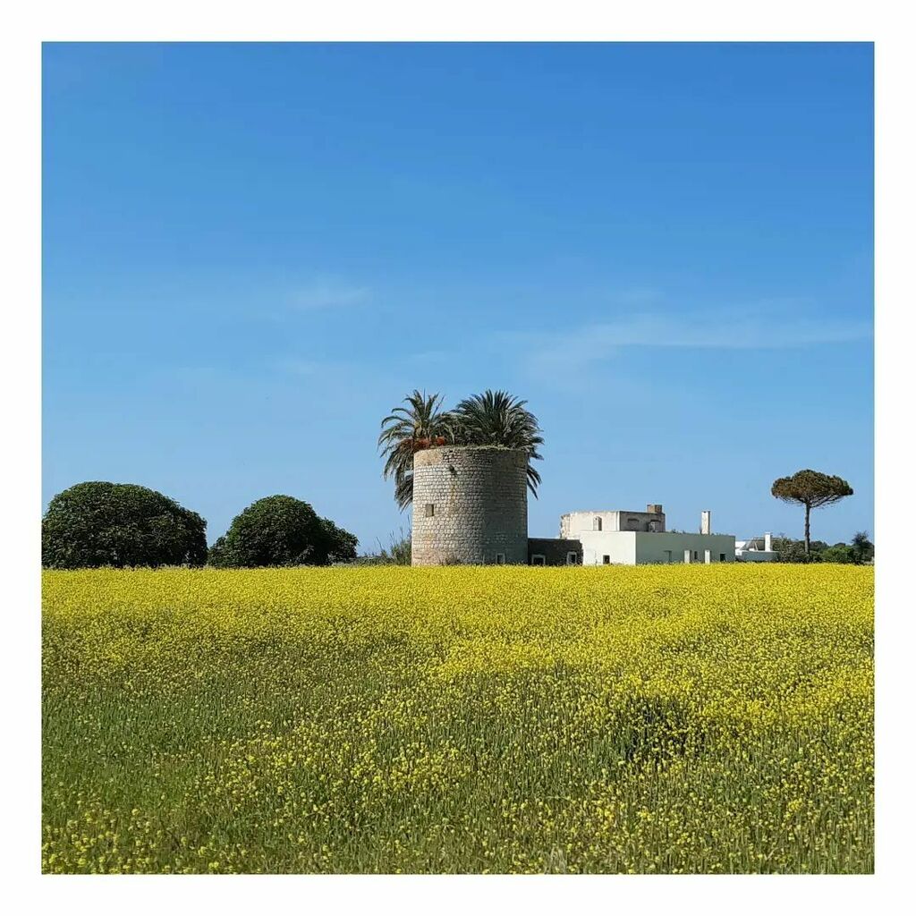 tonibarda's tweet image. Bueno, después de la colaboración de @twonav_official se une INSUMA, @juanjo_suner_ cree que es posible el #retogr11en11dias , debe ser uno de los pocos... Jijijijijijiji, y eso le hace ser un "grande", como persona, amigo y "familia".
Gràcies!!, farem tot el posible per ass…