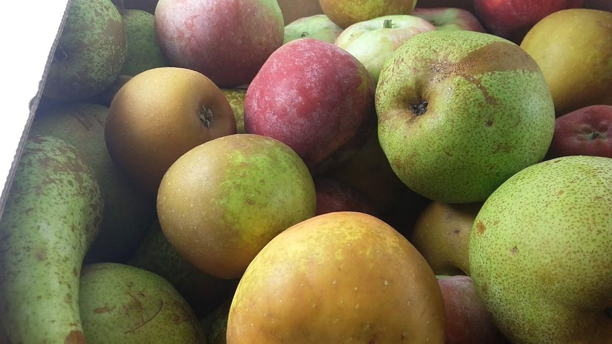 Aylesford Farmers Market-3rd Sunday of every month tweet media