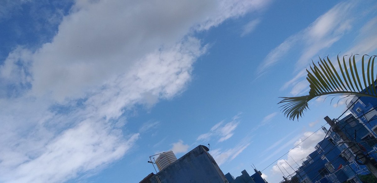GouriSatpathy's tweet photo. 🌌Blue Sky https://t.co/z50tSF2xei