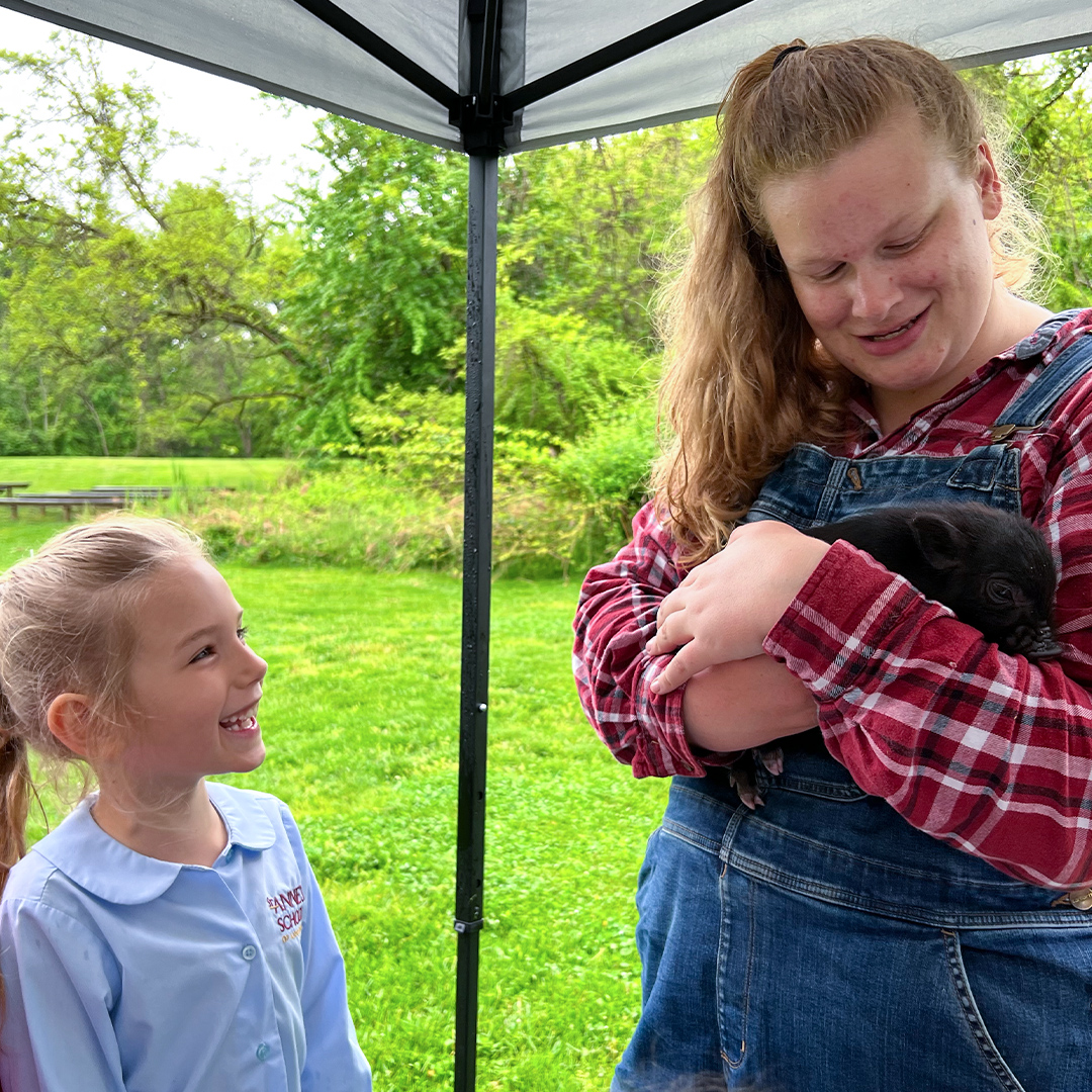 stannesschool's tweet photo. Goats Phil and Sheila and Rocco the 3-week old pig took a stroll down the Nature Path to help us get our invasive species under control! We learned about biodynamic farming and how to maintain our Nature Path without using harmful chemicals like herbicides and pesticides. 🌟 https://t.co/vKbiqBVXfW