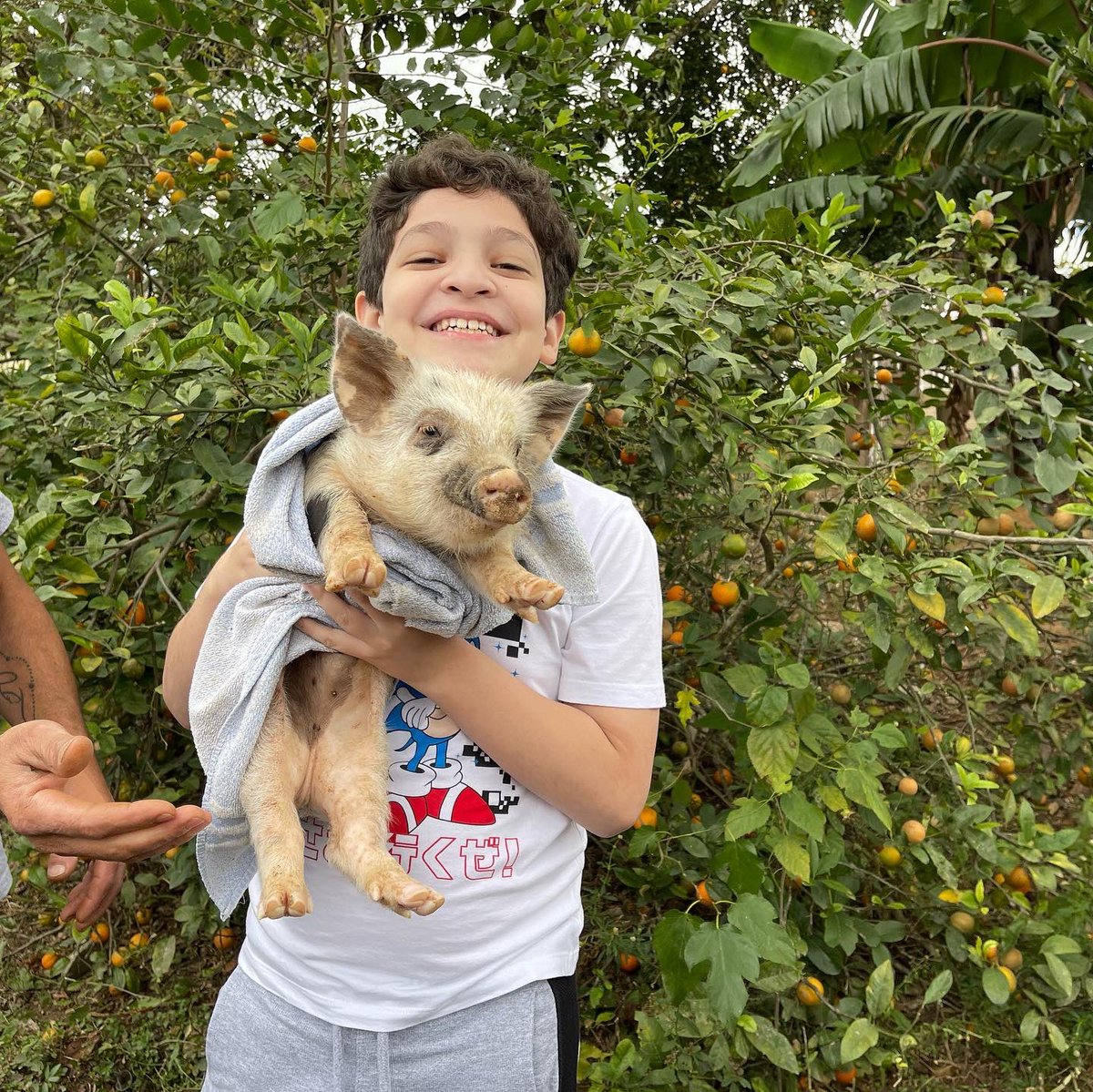 ccondedomingos's tweet photo. Momentos de um passeio especial ao “Recanto Gato Xadrez” 🐷🐥🐂🦆🐔🐎🌿💚 #averdadeiraescoladavida https://t.co/JbbUxnJidB