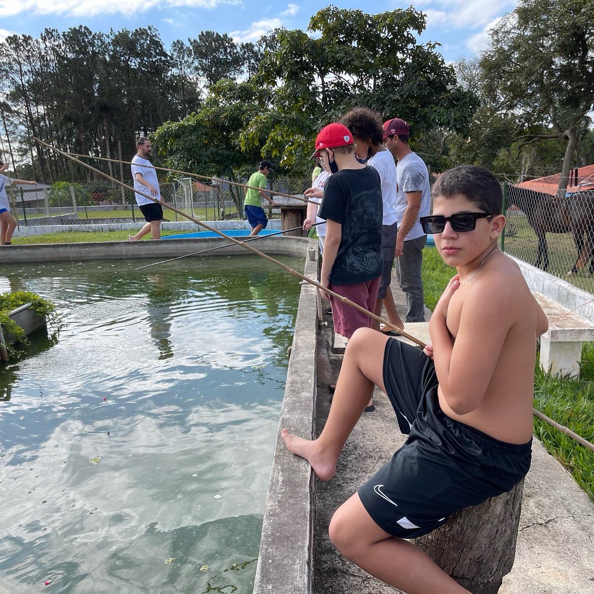 ccondedomingos's tweet photo. Momentos de um passeio especial ao “Recanto Gato Xadrez” 🐷🐥🐂🦆🐔🐎🌿💚 #averdadeiraescoladavida https://t.co/pIWRrKnr2W