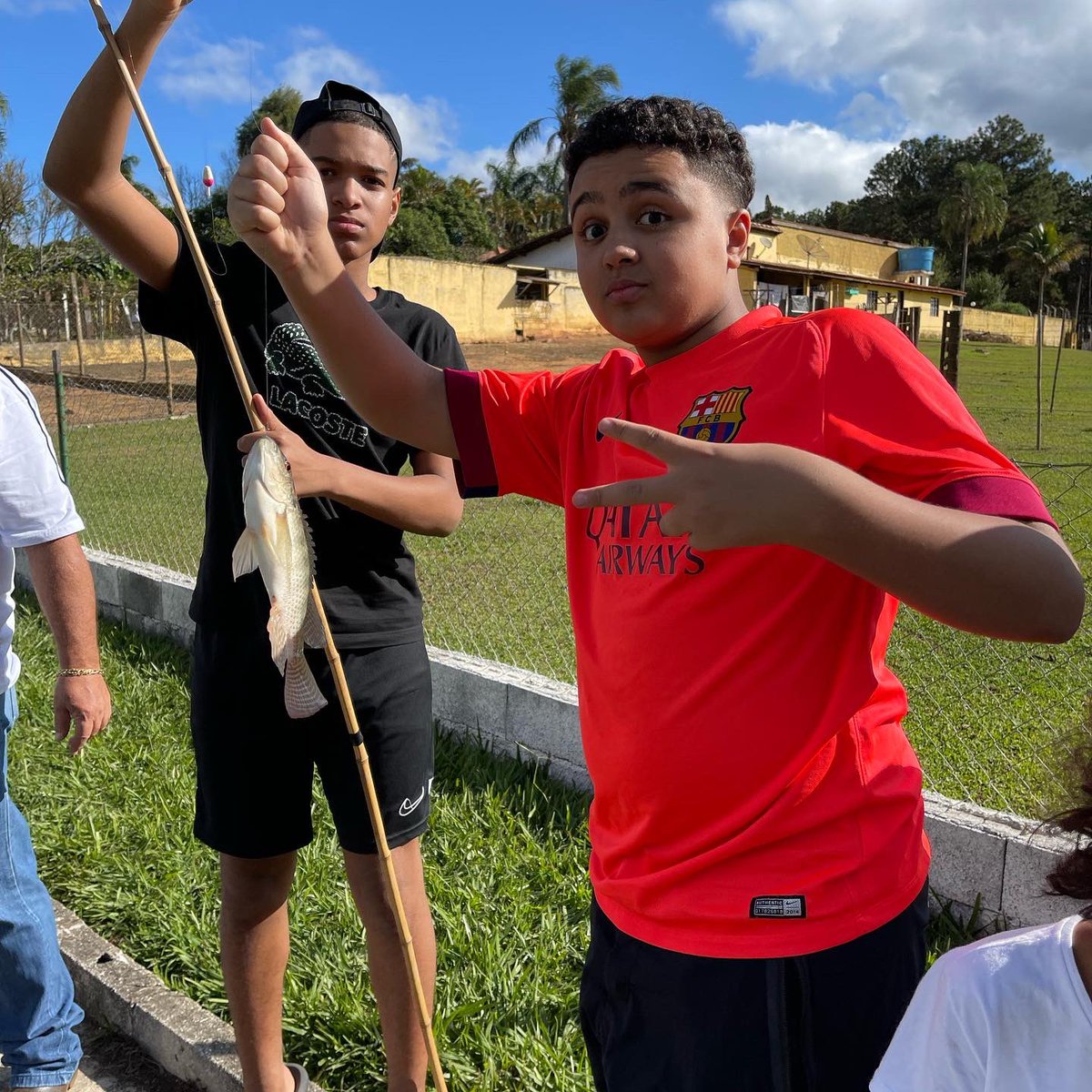 ccondedomingos's tweet photo. Momentos de um passeio especial ao “Recanto Gato Xadrez” 🐷🐥🐂🦆🐔🐎🌿💚 #averdadeiraescoladavida https://t.co/WKINoKUDgf