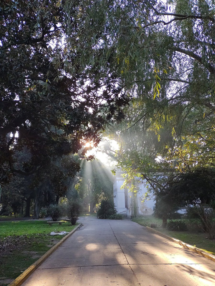 Lore_PerezA's tweet photo. Buen día!
Llegando al Hospital...Un rayo de luz ☀️
#lunes #unrayodesol #unrayodeluz #hospitaljorge #hospital #buendia #felizdia #felizlunes #buendia https://t.co/4j8rmKSimy