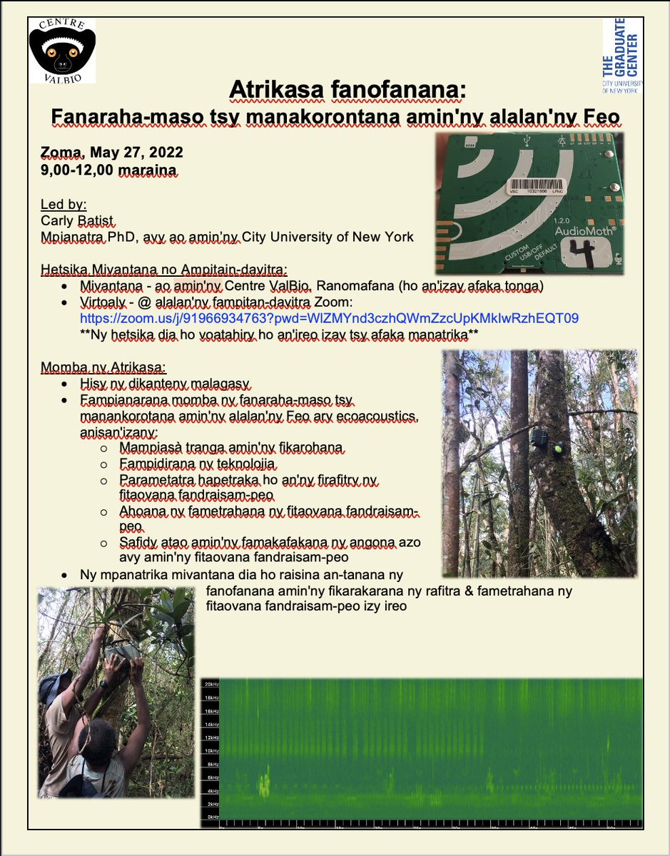 Carly_Batist's tweet photo. #Malagasy researchers! 
I am leading a training workshop on passive #acoustic monitoring @CentreValBio &amp; via zoom (recorded too). Flyer in Malagasy &amp; English below (workshop will have Malagasy translations too)

#tech4wildlife #bioacoustics #lemurs #Madagascar #ecology #fieldwork https://t.co/0XeaCZ4z6H