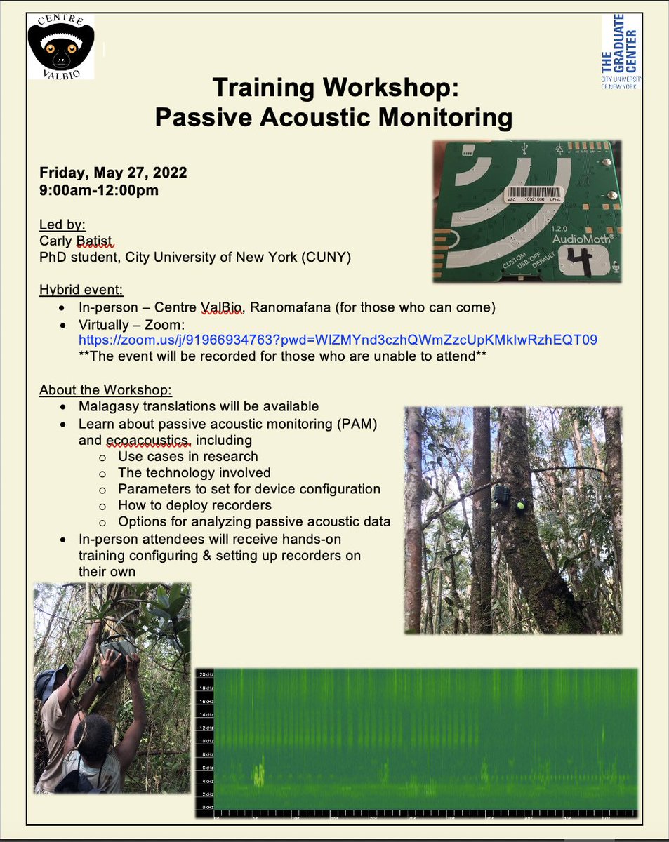 Carly Batist, Ph.D. (@carly_batist) on Twitter photo #Malagasy researchers!
I am leading a training workshop on passive #acoustic monitoring <a href="/CentreValBio/">Centre ValBio</a> & via zoom (recorded too). Flyer in Malagasy & English below (workshop will have Malagasy translations too)
#tech4wildlife #bioacoustics #lemurs #Madagascar #ecology #fieldwork #Malagasy researchers!
I am leading a training workshop on passive #acoustic monitoring <a href="/CentreValBio/">Centre ValBio</a> & via zoom (recorded too). Flyer in Malagasy & English below (workshop will have Malagasy translations too)
#tech4wildlife #bioacoustics #lemurs #Madagascar #ecology #fieldwork
