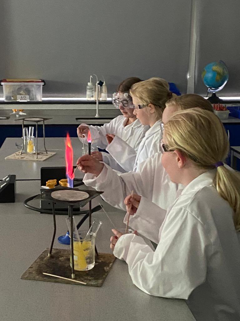 Science @ The Deanes tweet media