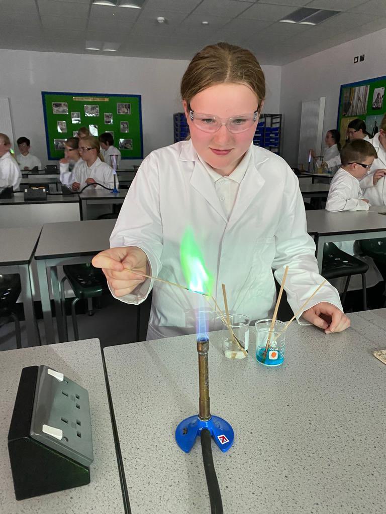 Science @ The Deanes tweet media