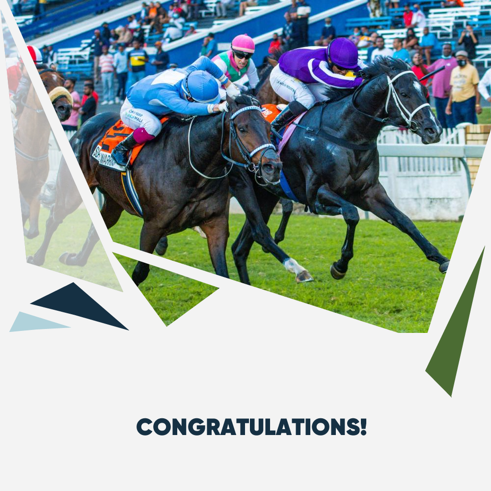 Jo An Campher Jo Campher Twitter