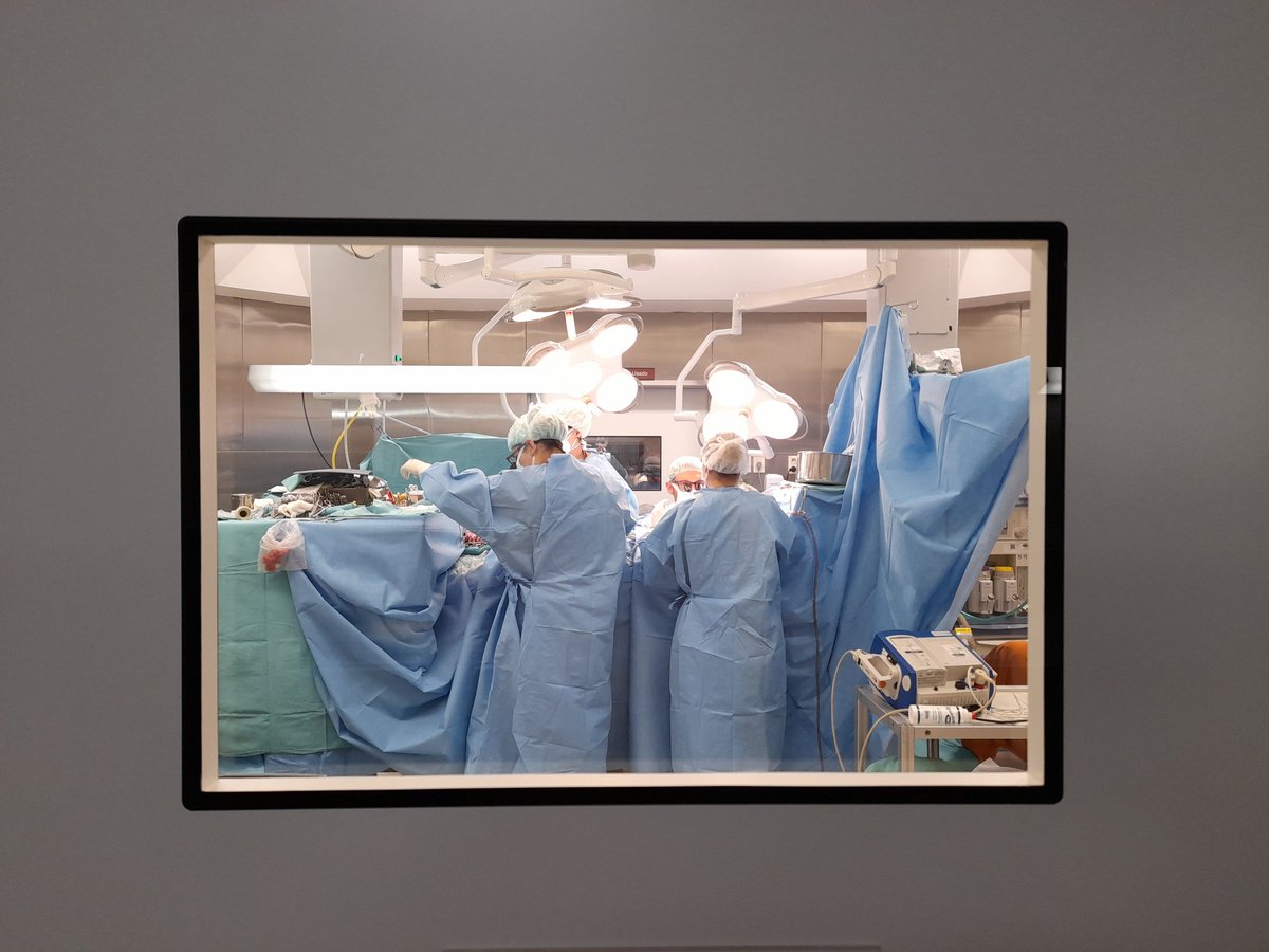 En 2017 se sanciona la ley 5817 en CABA, que establece al 9 de mayo como Día de la Cirugía Cardiovascular, en homenaje al Dr René Favaloro. 
Siempre quiso ser recordado como maestro, y así lo recordamos quienes ejercemos esta especialidad. <a href="/FundFavaloro/">Fundación Favaloro 🫀</a>