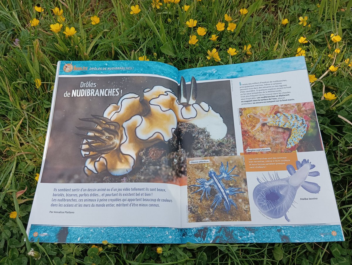 LudmillaScience's tweet photo. - Prévoir le futur à l'aide de la science
- Les nudibranches, drôles de mollusques
- Le lac aux couleurs venues d'ailleurs
Voici les titres de mes derniers articles pour #Cosinus @EditionsFaton https://t.co/x9AHKwS1RE
