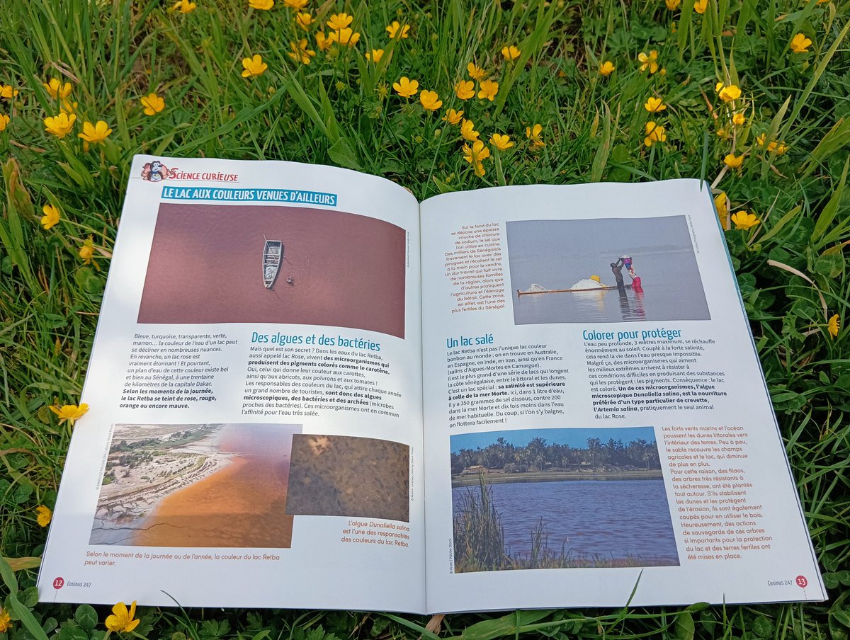 LudmillaScience's tweet photo. - Prévoir le futur à l'aide de la science
- Les nudibranches, drôles de mollusques
- Le lac aux couleurs venues d'ailleurs
Voici les titres de mes derniers articles pour #Cosinus @EditionsFaton https://t.co/x9AHKwS1RE