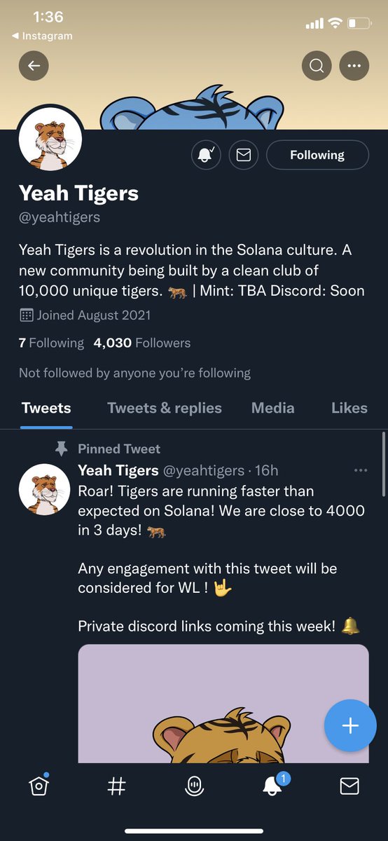 pixeljefff's tweet photo. @yeahtigers https://t.co/V7v5HMEUdP