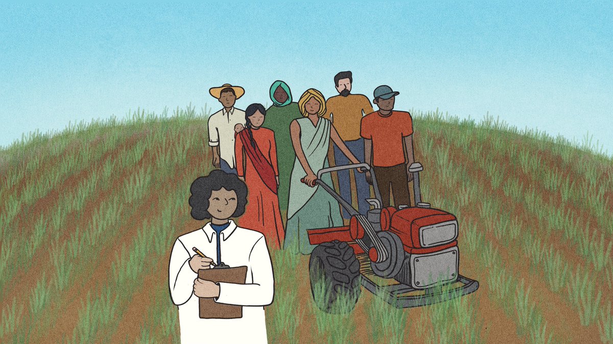 AlisonRBentley's tweet photo. DYK: 85% of the world’s youth live in low- & middle-income countries & 43% of farmers in low- &middle-income countries are women? #cgiarwheat worked to improve access of marginalized groups to research-for-devel pdts: https://t.co/OWRWbfH1gN @CIMMYT @CGIARgender @rachelvoss https://t.co/AJ9UxHGvFs
