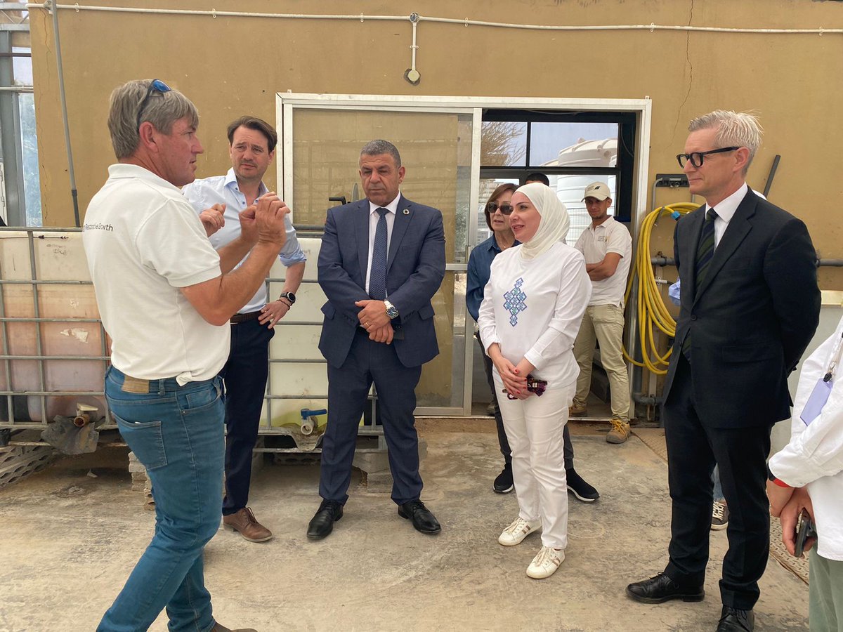 SaharaForestProject tweet media