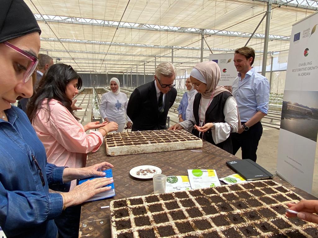 SaharaForestProject tweet media