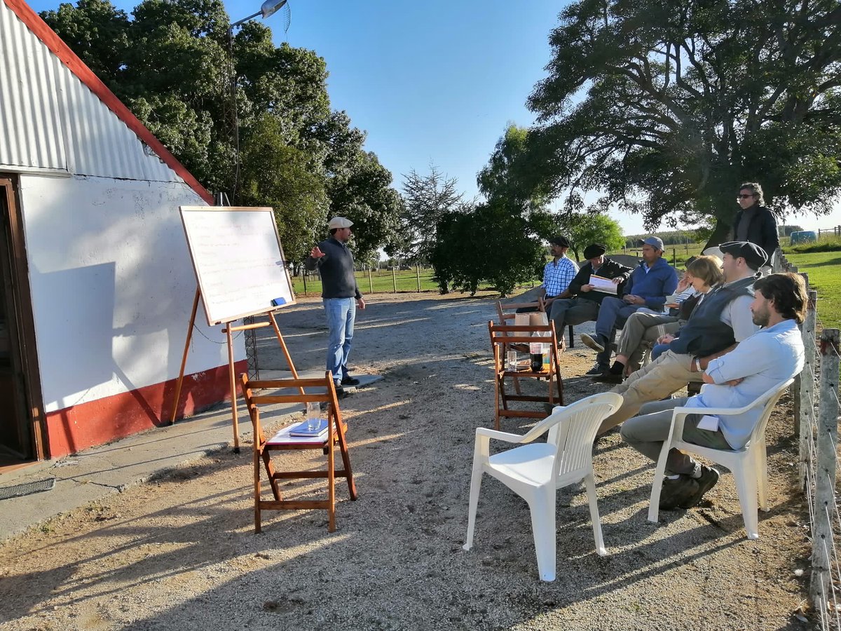 SUL_uy's tweet photo. #FPTA360 - Sostenibilidad del ovino en sistemas ganaderos mixtos en articulación con @INIA_UY
👉Establecimiento “María del Carmen” - Familia Lapetina Domingorena - Costas del Porongo/Flores - Técnico facilitador: José Rivero 🐏 📋 ✅ https://t.co/36Mw26nCDf