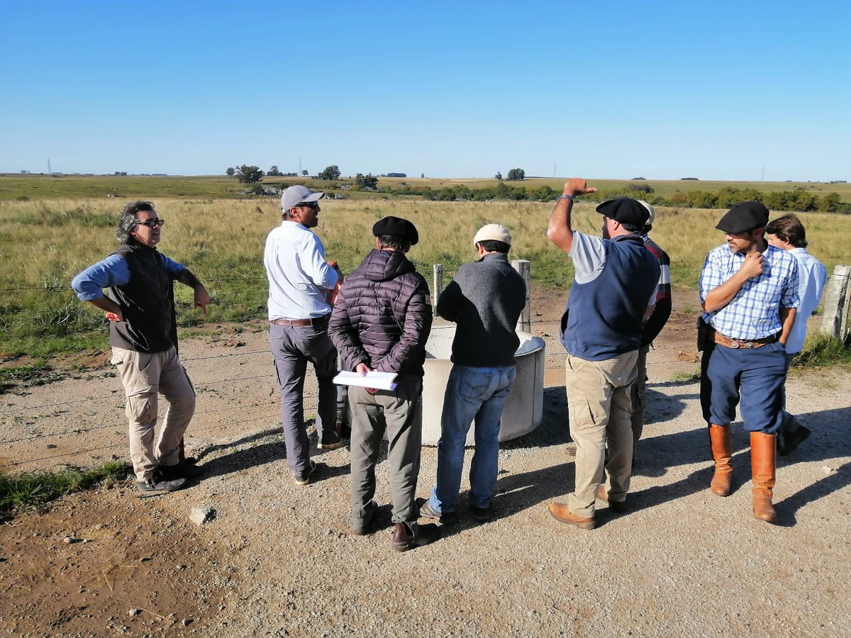 SUL_uy's tweet photo. #FPTA360 - Sostenibilidad del ovino en sistemas ganaderos mixtos en articulación con @INIA_UY
👉Establecimiento “María del Carmen” - Familia Lapetina Domingorena - Costas del Porongo/Flores - Técnico facilitador: José Rivero 🐏 📋 ✅ https://t.co/36Mw26nCDf